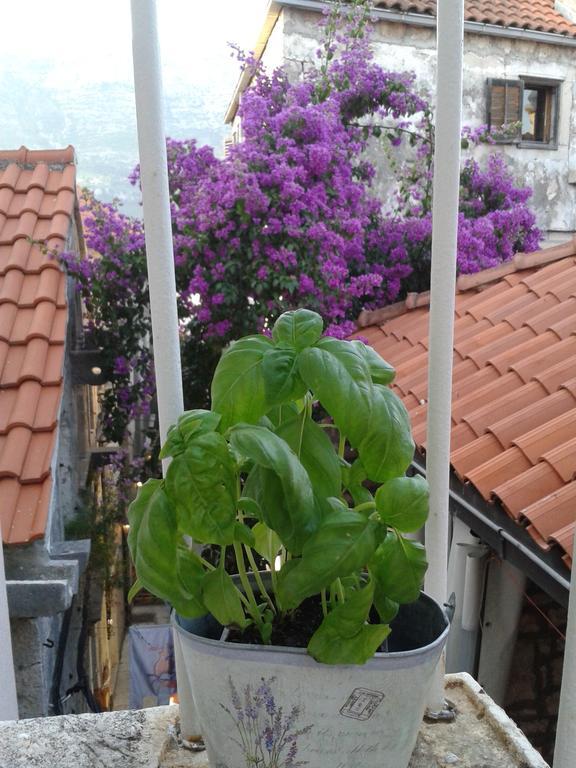 Apartments Milion Korcula Town Ruang foto